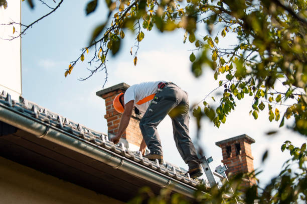 Best Gutter Installation and Roofing  in West Hill, OH