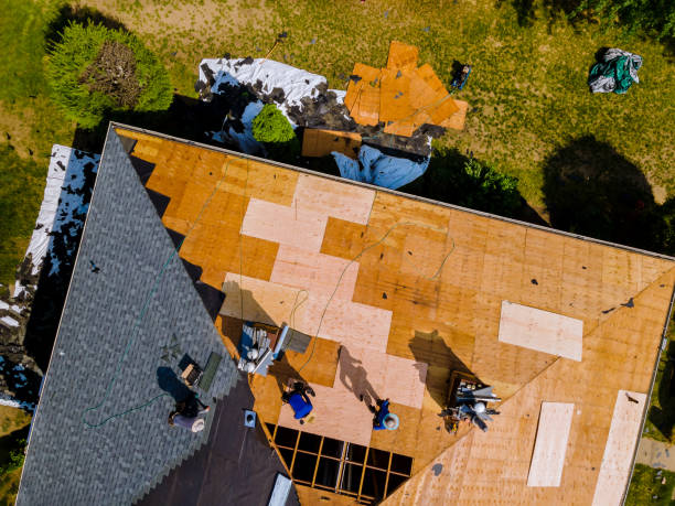 Best Roof Restoration Services  in West Hill, OH