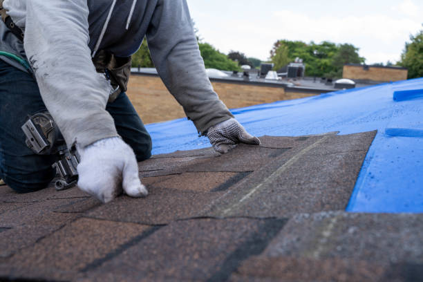 Best Roof Waterproofing Services  in West Hill, OH